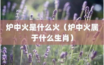 炉中火是什么火（炉中火属于什么生肖）