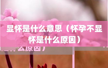 显怀是什么意思（怀孕不显怀是什么原因）