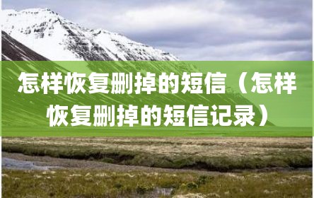 怎样恢复删掉的短信（怎样恢复删掉的短信记录）