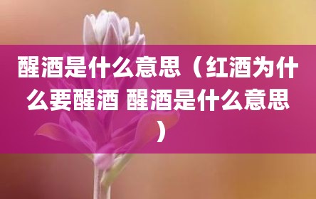醒酒是什么意思（红酒为什么要醒酒 醒酒是什么意思）