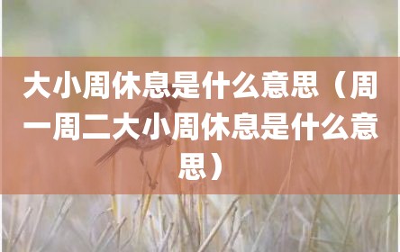 大小周休息是什么意思（周一周二大小周休息是什么意思）
