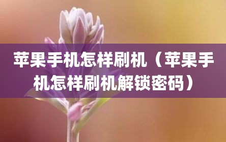 苹果手机怎样刷机（苹果手机怎样刷机解锁密码）