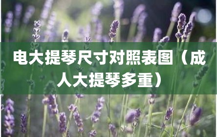 电大提琴尺寸对照表图（成人大提琴多重）