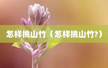 怎样挑山竹（怎样挑山竹?）