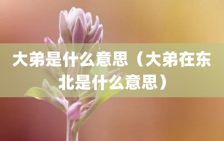 大弟是什么意思（大弟在东北是什么意思）