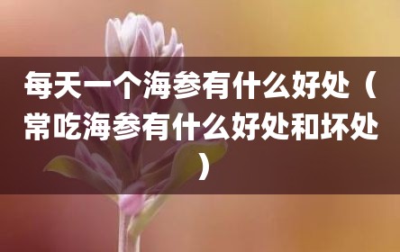 每天一个海参有什么好处（常吃海参有什么好处和坏处）