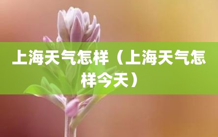 上海天气怎样（上海天气怎样今天）