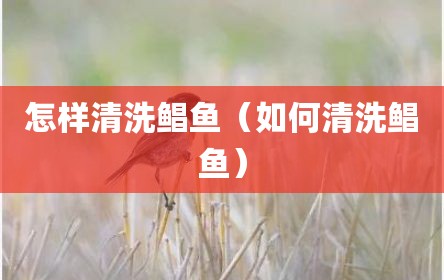 怎样清洗鲳鱼（如何清洗鲳鱼）