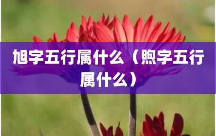 旭字五行属什么（煦字五行属什么）