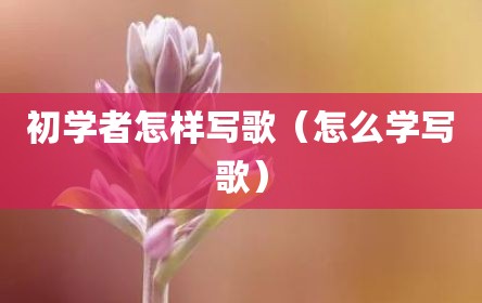 初学者怎样写歌（怎么学写歌）