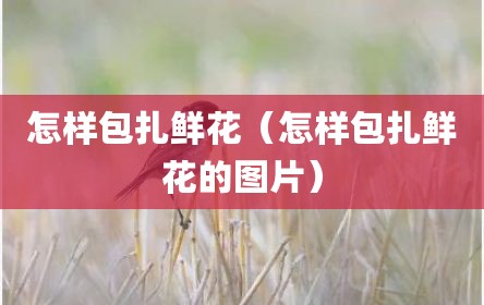 怎样包扎鲜花（怎样包扎鲜花的图片）