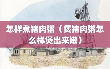 怎样煮猪肉粥（煲猪肉粥怎么样煲出来嫩）