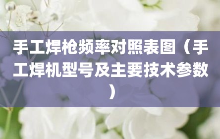 手工焊枪频率对照表图（手工焊机型号及主要技术参数）
