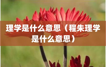 理学是什么意思（程朱理学是什么意思）