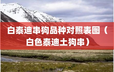 白泰迪串狗品种对照表图（白色泰迪土狗串）