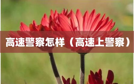 高速警察怎样（高速上警察）