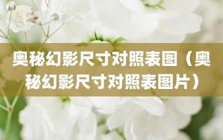 奥秘幻影尺寸对照表图（奥秘幻影尺寸对照表图片）