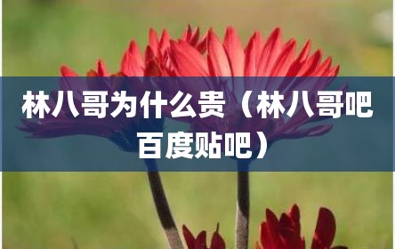 林八哥为什么贵（林八哥吧 百度贴吧）