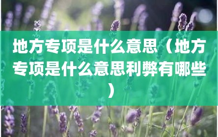 地方专项是什么意思（地方专项是什么意思利弊有哪些）