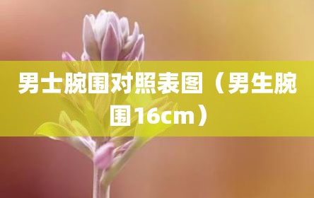 男士腕围对照表图（男生腕围16cm）