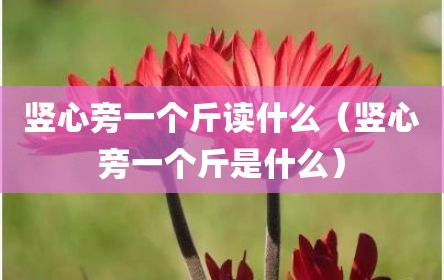 竖心旁一个斤读什么（竖心旁一个斤是什么）