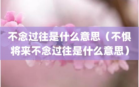 不念过往是什么意思（不惧将来不念过往是什么意思）
