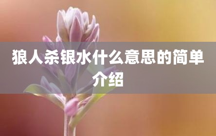 狼人杀银水什么意思的简单介绍