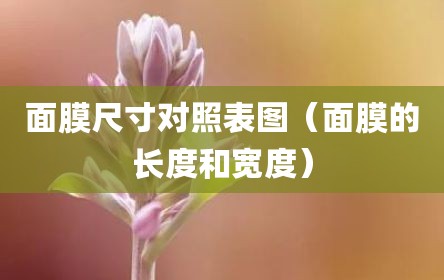 面膜尺寸对照表图（面膜的长度和宽度）