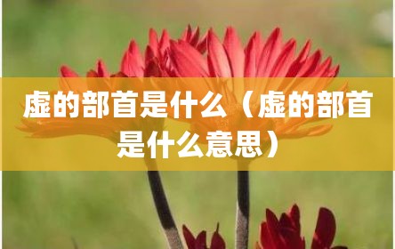 虚的部首是什么（虚的部首是什么意思）