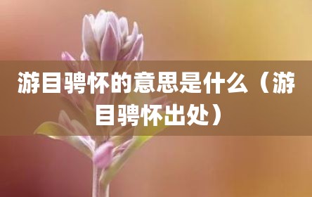 游目骋怀的意思是什么（游目骋怀出处）