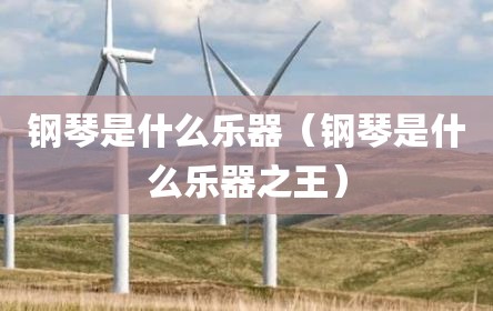 钢琴是什么乐器（钢琴是什么乐器之王）