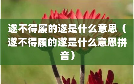 遂不得履的遂是什么意思（遂不得履的遂是什么意思拼音）
