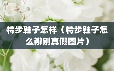 特步鞋子怎样（特步鞋子怎么辨别真假图片）