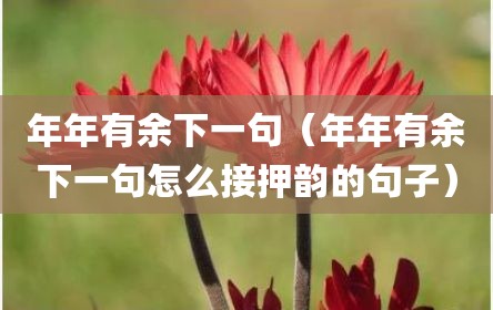 年年有余下一句（年年有余下一句怎么接押韵的句子）