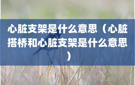 心脏支架是什么意思（心脏搭桥和心脏支架是什么意思）