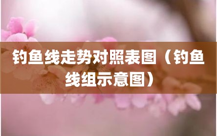 钓鱼线走势对照表图（钓鱼线组示意图）