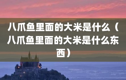 八爪鱼里面的大米是什么（八爪鱼里面的大米是什么东西）
