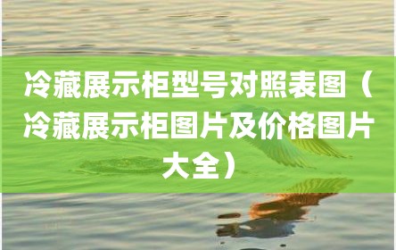 冷藏展示柜型号对照表图（冷藏展示柜图片及价格图片大全）