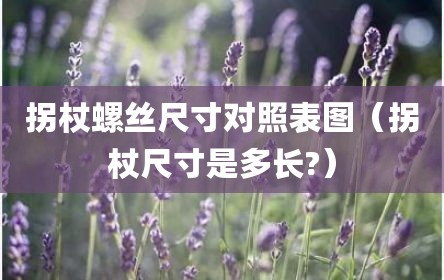 拐杖螺丝尺寸对照表图（拐杖尺寸是多长?）