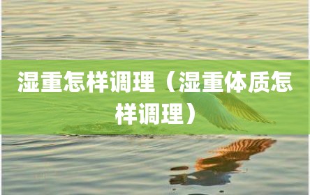 湿重怎样调理（湿重体质怎样调理）