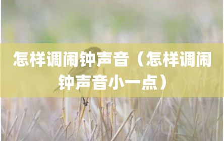 怎样调闹钟声音（怎样调闹钟声音小一点）
