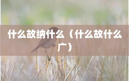 什么故纳什么（什么故什么广）