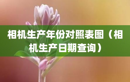 相机生产年份对照表图（相机生产日期查询）