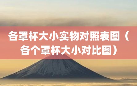 各罩杯大小实物对照表图（各个罩杯大小对比图）