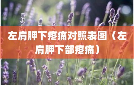 左肩胛下疼痛对照表图（左肩胛下部疼痛）