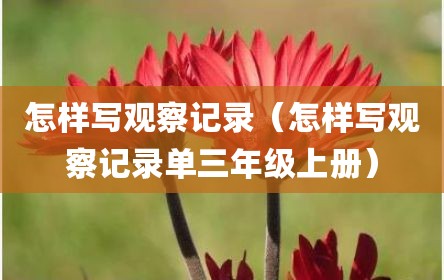 怎样写观察记录（怎样写观察记录单三年级上册）