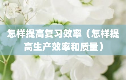 怎样提高复习效率（怎样提高生产效率和质量）