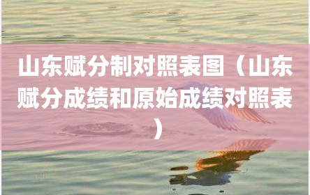 山东赋分制对照表图（山东赋分成绩和原始成绩对照表）