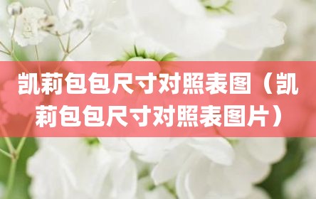 凯莉包包尺寸对照表图（凯莉包包尺寸对照表图片）