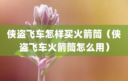 侠盗飞车怎样买火箭筒（侠盗飞车火箭筒怎么用）